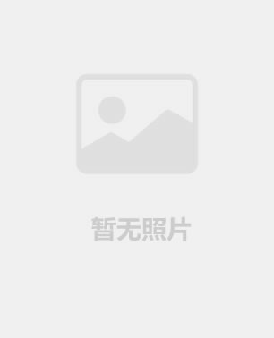 林淑鳳照片